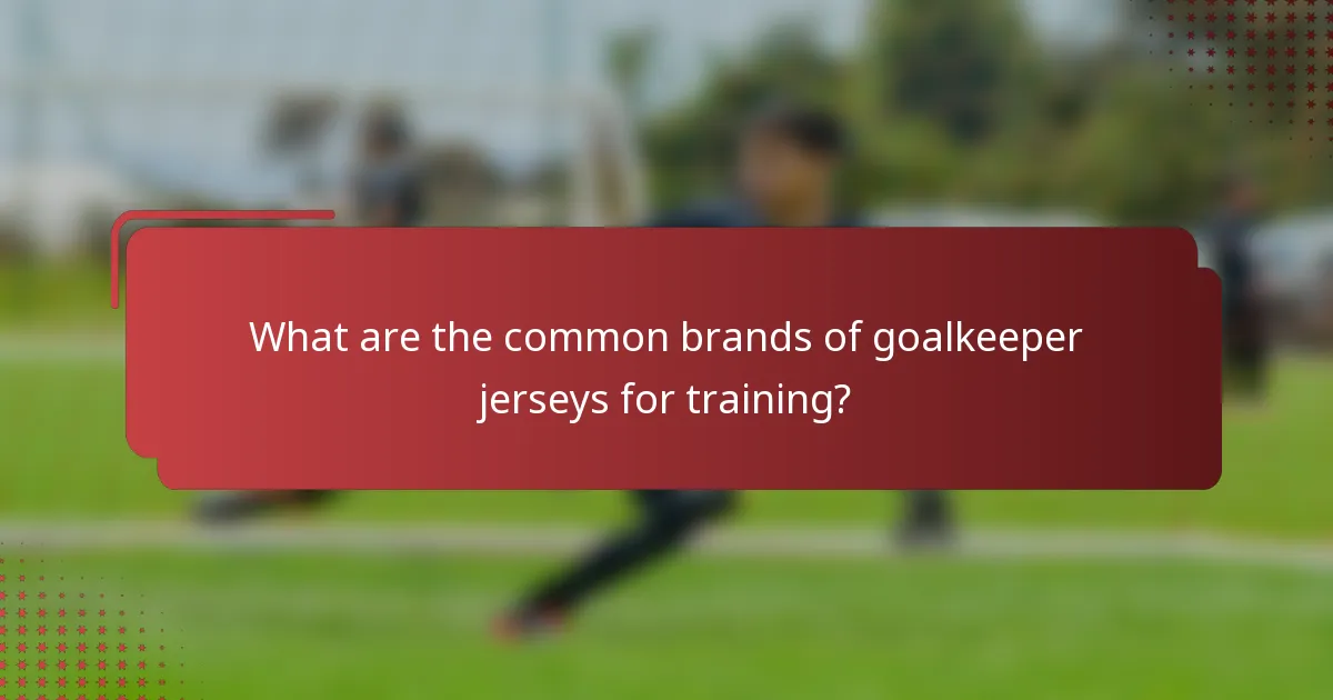 What are the common brands of goalkeeper jerseys for training?